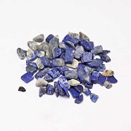 Natural Lapis Lazuli Chip Beads, No Hole/Undrilled, 3~9x1~4mm(G-L453-05)