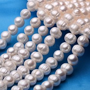 Potato Natural Cultured Freshwater Pearl Beads Strands, Antique White, 11~12mm, Hole: 0.8mm, about 33~38pcs/strand, 13.7 inch~15.7 inch(PEAR-E007-11-12mm-AB)