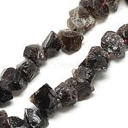 Natural Smoky Quartz Beads Strands, Nuggets, 7~15x9.5~13x9.5~13mm, Hole: 1mm, about 43~45pcs/strand, 15.7 inch(G-R427-03)