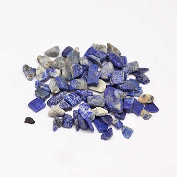 Natural Lapis Lazuli Chip Beads, No Hole/Undrilled, 3~9x1~4mm