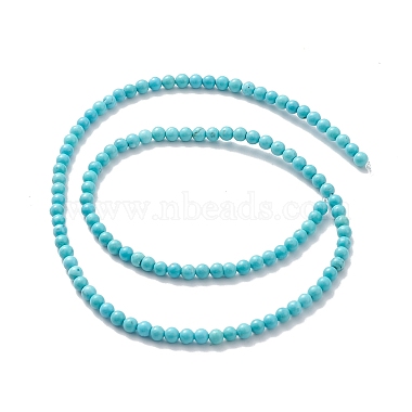 Natural Howlite Beads Strands(TURQ-K005-01B)-3