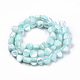 Natural Trochid Shell/Trochus Shell Beads Strands(SSHEL-N032-49-A03)-2