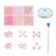 DIY Pink Series Jewelry Making Kits, 620Pcs Glass Seed Round & Rondelle Beads, 80Pcs Imitation Austrian Crystal Bicone Beads, 20Pcs Teardrop Glass Charms, Test Tube, Needles, Elastic Crystal Thread, Mixed Color, Beads: 700pcs/set(DIY-YW0003-05E)