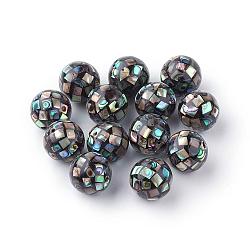 Natural Paua Shell Beads, Round, Black, 12~12.5mm, Hole: 1mm(SSHEL-Q298-12mm-09)