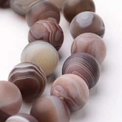 Natural Botswana Agate Bead Strands, Frosted, Round, 10mm, Hole: 1mm, about 38pcs/strand, 15 inch(G-J376-09F-10mm)