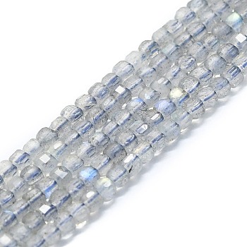 Natural Labradorite Beads Strands, Faceted, Cube, 2x2x2mm, Hole: 0.6mm, about 182pcs/strand, 15.16''~15.55''(38.5~39.5cm)
