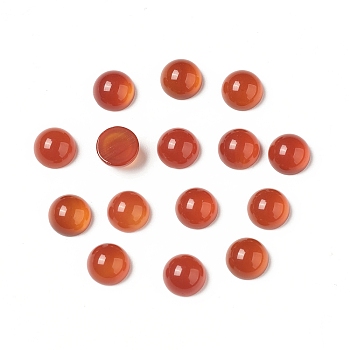 Natural Red Agate Cabochons, Half Round, 6x3~3.5mm