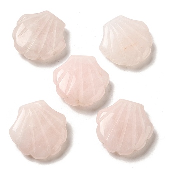 Natural Rose Quartz Carved Healing Shell Figurines, Reiki Energy Stone Display Decorations, 30~30.5x30x8~8.5mm