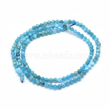 Natural Apatite Beads Strands(G-E411-36-3mm)-2