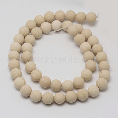 10mm Moccasin Round Fossil Beads