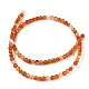 Round Natural Red Agate Bead Strands(G-M257-4mm-26)-6