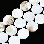 Natural Freshwater Shell Beads Strands, Flat Round, Seashell Color, 25x25x3mm, Hole: 1mm, about 16pcs/strand, 15.20~15.55 inch(38.6~39.5cm)(SHEL-Q024-006)