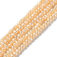 Natural Cultured Freshwater Pearl Beads Strands, Potato, Grade 3A, PeachPuff, 2~3x2.5~4mm, Hole: 0.5mm, about 128pcs/strand, 14.13~14.33 inch(35.9~36.4cm)(PEAR-E018-81)