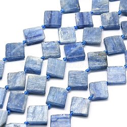 Natural Kyanite/Cyanite/Disthene Beads Strands, Rhombus, 14.5~15x14.5~15x3.5~4.5mm, Hole: 1mm, about 25pcs/strand, 15.75~15.87 inch(40~40.3cm)(G-G106-H01-01)