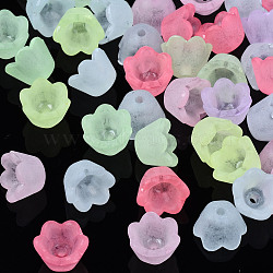 Transparent Acrylic Beads, Frosted, Flower, Mixed Color, 9x9.5x6.5mm, Hole: 1.6mm(X-FACR-N005-001)