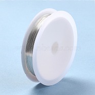Round Copper Jewelry Wire, Platinum, 22 Gauge, 0.6mm, about 19.68 Feet(6m)/roll(CWIR-CW0.6mm-24)