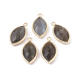 Natural Labradorite Pendants, with Golden Plated Brass Findings, Faceted, Horse Eye, 21.5x11.5x3~5mm, Hole: 1.6mm(G-L514-023G)
