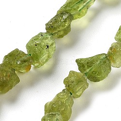 Raw Rough Natural Peridot Beads Strands, Nuggets, 6.5~9x5~6x3~5mm, Hole: 0.8mm, about 26~30pcs/strand, 7.48''~8.46''(19~21.5cm)(G-P528-B05-01)