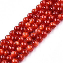 Natural Freshwater Shell Beads Strands, Dyed, Round, Red, 4mm, Hole: 0.9mm, about 95~96pcs/strand, 14.76 inch~14.96 inch(37.5~38cm)(SHEL-N026-205C-01)