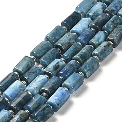 Natural Apatite Beads Strands, with Seed Beads, Faceted, Column, 8.5~11x5.5~6.5mm, Hole: 1mm, about 14~15pcs/strand, 7.48''(19cm)(G-N327-06-27)