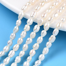 Natural Cultured Freshwater Pearl Beads Strands, Rice, Seashell Color, 4~6x3.5~4mm, Hole: 0.7~0.8mm, about 36~37pcs/strand, 7.09 inch(18cm)(PEAR-N012-03I)