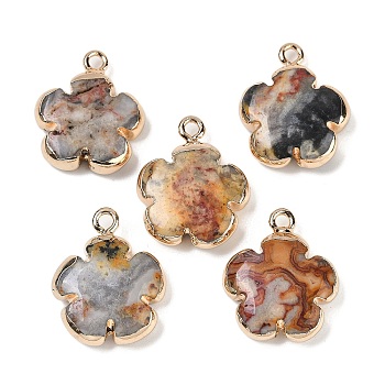 Natural Crazy Agate Pendants, Flower Charms with Brass Findings, Golden, 23~24x21x6mm, Hole: 1.8mm