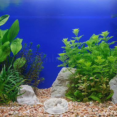 8Pcs 2 Style Transparent Acrylic Aquarium Shrimp Feeding Dishes(AJEW-GO0001-01)-7