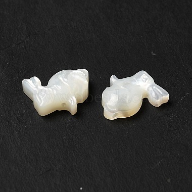 Natural White Shell Beads(BSHE-E026-08)-4