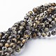 Natural Dalmatian Jasper Beads Strands(GSR6mmC004)-2