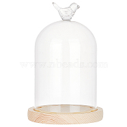 Bird Glass Dome Cover, Decorative Display Case, Cloche Bell Jar Terrarium with Wood Base, for DIY Preserved Flower Gift, Clear, 122.5x190mm(AJEW-WH0323-79)
