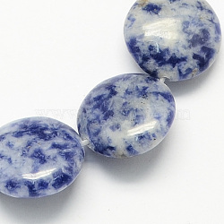 Natural Blue Spot Jasper Beads Strands, Flat Round, 12x5mm, Hole: 1mm, about 33pcs/strand, 15.7 inch(G-S110-12mm-13)