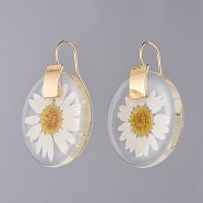 Alloy Resin Dangle Earrings, with Dried Flower and Brass Hoop Earrings, Flat Round, Golden, 43.5x32x5mm, Pin: 0.7mm(EJEW-JE03560)