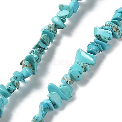 Synthetic Turquoise Beads Strands, Dyed, Chips, 3~8x3~8mm, Hole: 1mm, 34 inch.(G-D283-3x5-10-01)