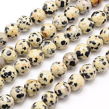 Natural Dalmation Jasper Beads Strands, Faceted, Round, Navajo White, 10mm, Hole: 1mm, about 38pcs/strand, 15.75 inch