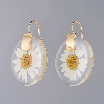 Alloy Resin Dangle Earrings, with Dried Flower and Brass Hoop Earrings, Flat Round, Golden, 43.5x32x5mm, Pin: 0.7mm