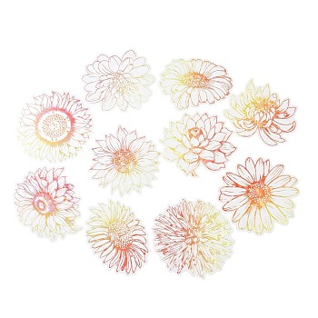 Flower Waterproof PET Stickers Set, Decorative Stickers, for Water Bottles, Laptop, Luggage, Cup, Computer, Mobile Phone, Skateboard, Guitar Stickers, Light Coral, 65~75x77~80x0.1mm, 10 style, 2pcs/style, 20pcs/set