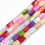 Natural Trochid Shell/Trochus Shell Beads Strands, Dyed, Column, Colorful, 4~5x3~3.5mm, Hole: 0.9mm, about 77~78pcs/strand, 15.55 inch~15.75 inch(39.5~40cm)(SHEL-N003-26-B01)