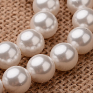 Polished Round Grade A Shell Pearl Bead Strands, Seashell Color, 6mm, Hole: 1mm, about 64pcs/strand, 15.7 inch(BSHE-M027-6mm-28)