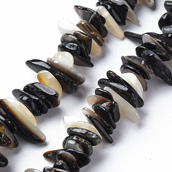 Natural Black Lip Shell Bead Strands, Nuggets Chips, Black, 4~22x3~10x0.5~5mm, Hole: 1mm, about 79~82pcs/strand, 6.89 inch(17.5cm)(SSHEL-N304-102)