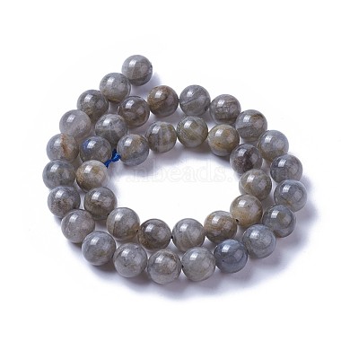Natural Labradorite Beads Strands(G-F627-10-D)-2