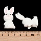 Resin Rabbit Figurines(RE-CBA17C4-01)-3