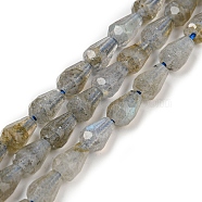 Natural Labradorite Beads Strands, Faceted, Teardrop, 5.5~8.3x4.1~4.35mm, Hole: 0.5mm, about 58pcs/strand, 15.43~15.55 inch(39.2~39.5cm)(G-C080-B03-01)