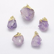 Natural Amethyst Pendants, with Brass Finding, Golden, Nuggets, 22~31x19~26mm, Hole: 5x8mm(G-F535-27G)