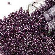 TOHO Round Seed Beads, Japanese Seed Beads, (1076) Inside Color Grey/Magenta Lined, 11/0, 2.2mm, Hole: 0.8mm, about 5555pcs/50g(SEED-XTR11-1076)