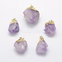 Natural Amethyst Pendants, with Brass Finding, Golden, Nuggets, 22~31x19~26mm, Hole: 5x8mm(G-F535-27G)