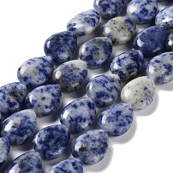 Natural Blue Spot Jasper Beads Strands, Teardrop, 17.5~18x13x6mm, Hole: 1.2mm, about 22pcs/strand, 15.24 inch(38.7cm)(G-L242-33)