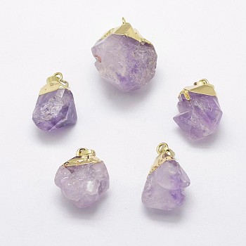 Natural Amethyst Pendants, with Brass Finding, Golden, Nuggets, 22~31x19~26mm, Hole: 5x8mm