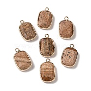 Natural Picture Jasper Faceted Pendants, Golden Tone Brass Rectangle Charms, 19x11.5x4mm, Hole: 1.6mm(G-Q169-06G-03)