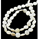 Natural Shell Beads Strands(X-PBB-XXBK024Y-13)-2