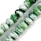 Handmade Lampwork Beads Strands(LAMP-T007-13Q)-1